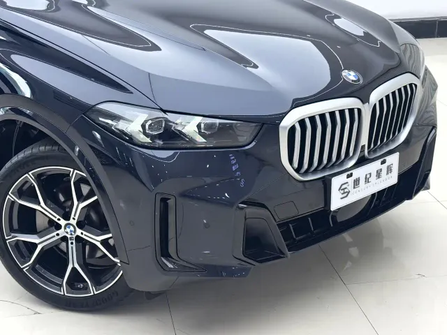 BMW X5 — Фото автомобиля 11