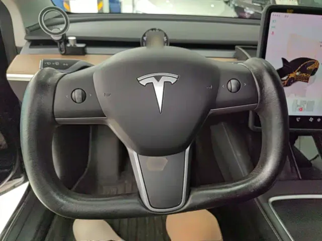Tesla Model 3 2022 Model Rear-Wheel Drive Version — Фото автомобиля 10