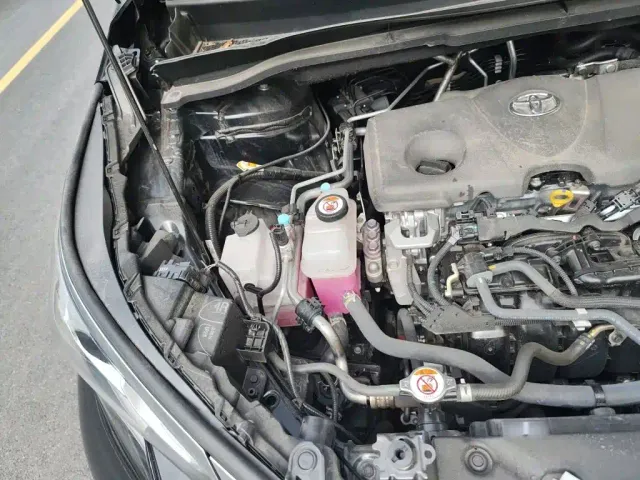 Toyota Sienna — Фото автомобиля 20
