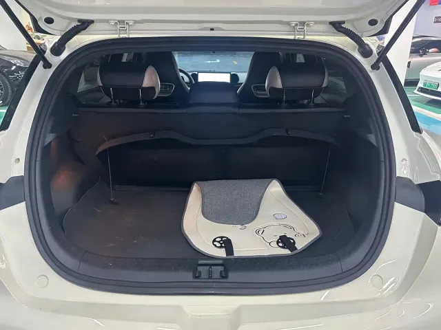 BYD Dolphin — Фото автомобиля 12