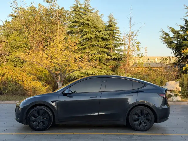 Tesla Model Y — Фото автомобиля 3