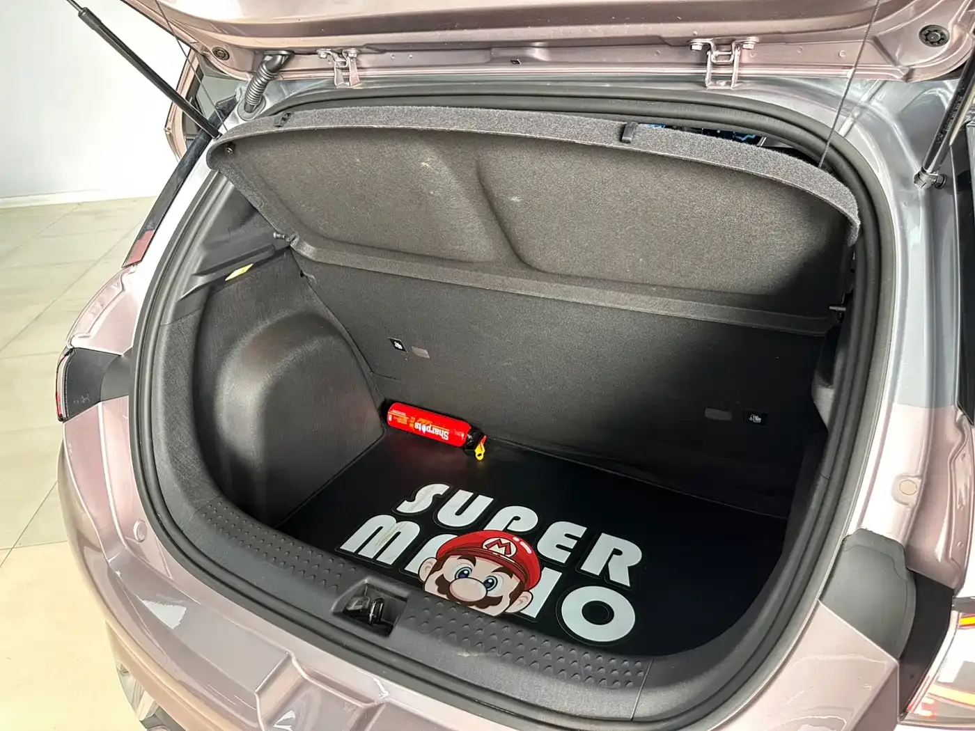 BYD Dolphin 2021 Model 405km Fashion Edition — Фото автомобиля 9