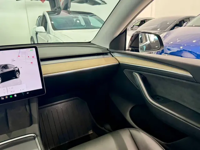Tesla Model Y — Фото автомобиля 12