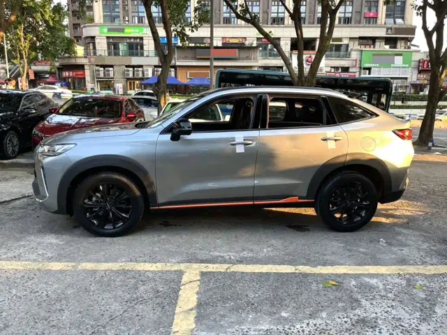 Haval H6S — Фото автомобиля 24