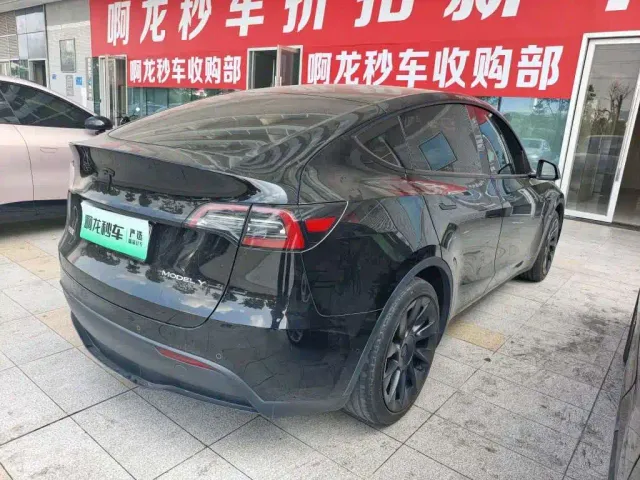 Tesla Model Y — Фото автомобиля 8