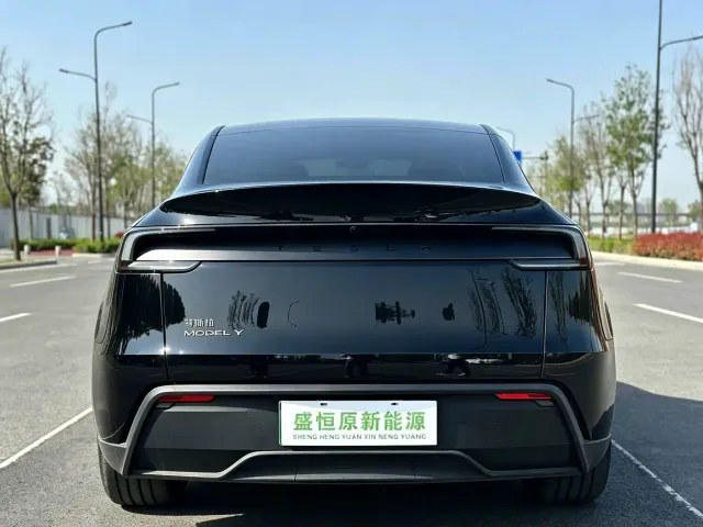 Tesla Model Y — Фото автомобиля 3