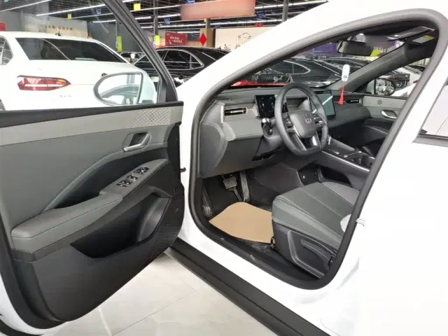 BYD Qin PLUS — Фото автомобиля 15