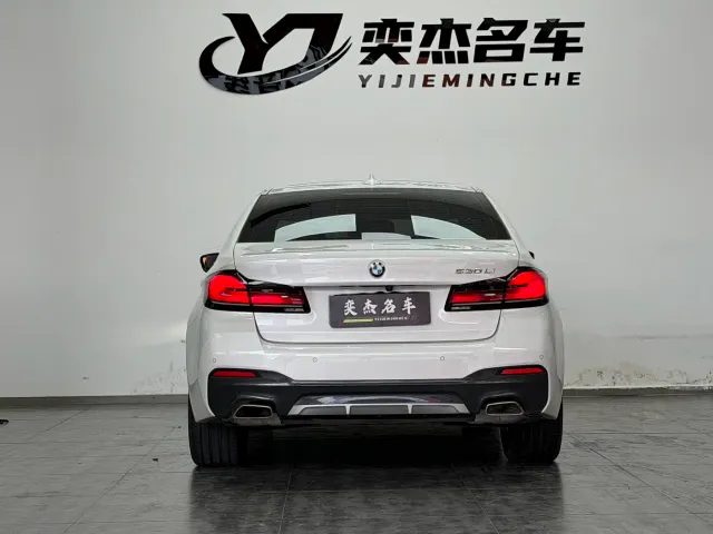 BMW 5 Series — Фото автомобиля 8