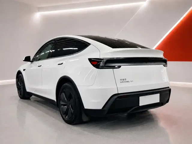 Tesla Model Y — Фото автомобиля 9