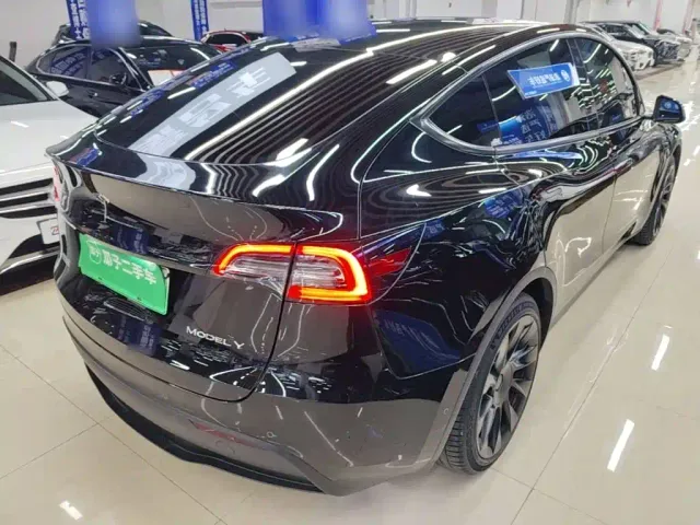 Tesla Model Y — Фото автомобиля 6