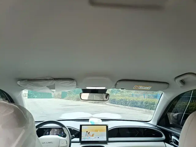 Geely Starry Wish — Фото автомобиля 17