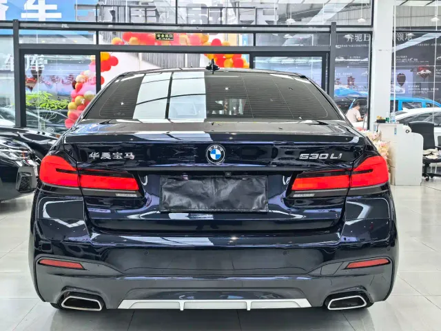 BMW 5 Series — Фото автомобиля 5