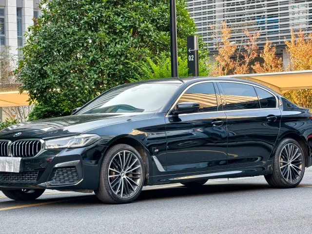 BMW 5 Series — Фото автомобиля 13
