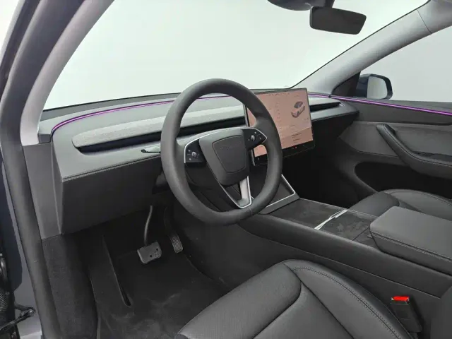 Tesla Model Y — Фото автомобиля 26