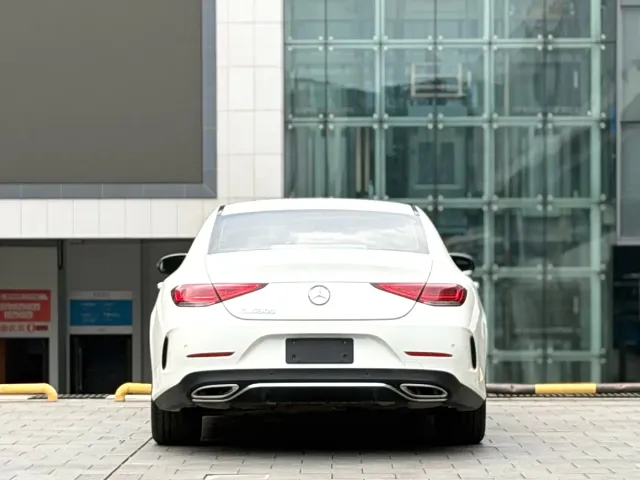 Mercedes-Benz CLS-Class — Фото автомобиля 10