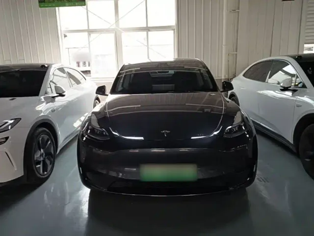 Tesla Model Y — Фото автомобиля 2