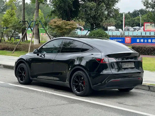 Tesla Model Y — Фото автомобиля 10