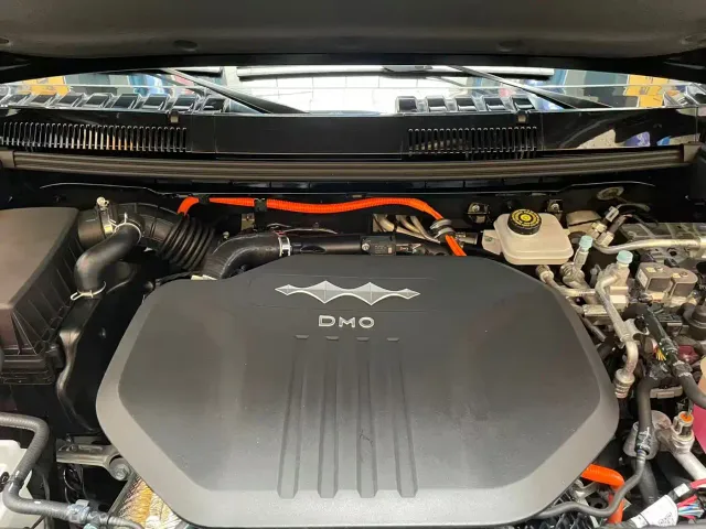 BYD FangChengBao Leopard 5 — Фото автомобиля 18