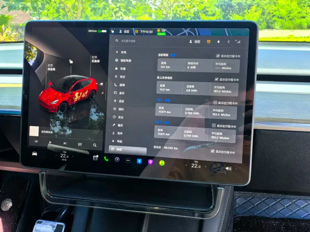 Tesla Model Y — Фото автомобиля 9