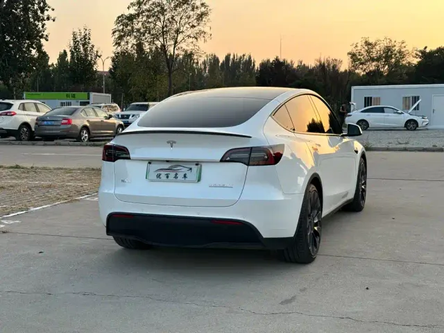 Tesla Model Y — Фото автомобиля 6