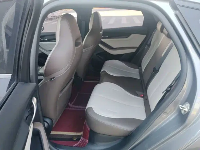 BYD Qin PLUS 2023 Champion Edition DM-i 55KM Leading — Фото автомобиля 16