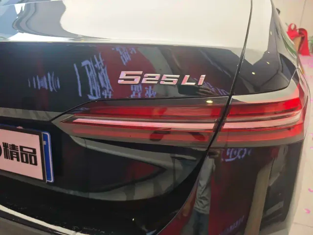 BMW 5 Series — Фото автомобиля 14