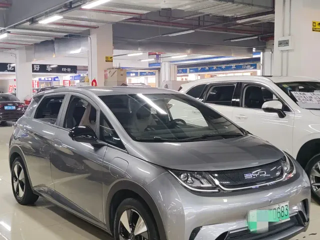 BYD Dolphin — Фото автомобиля 2