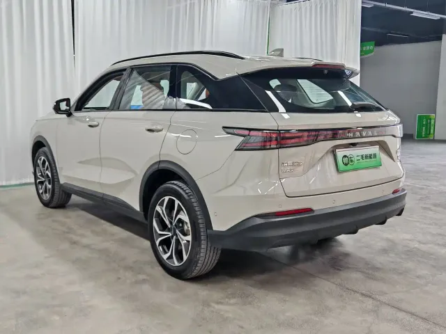 Haval Xiaolong MAX — Фото автомобиля 4