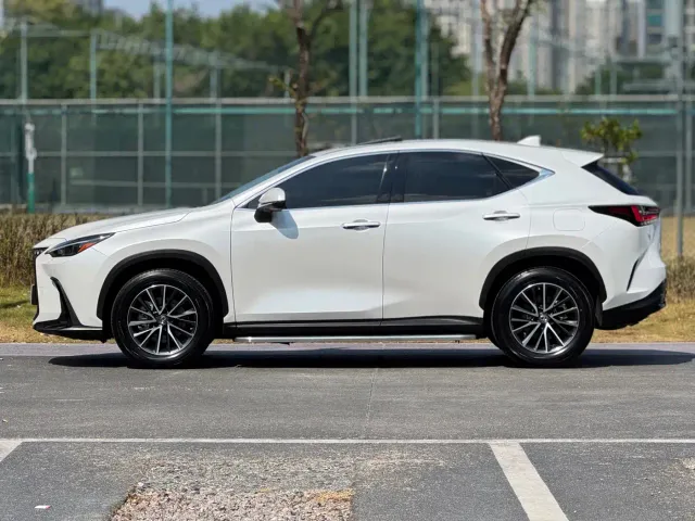 Lexus NX — Фото автомобиля 3