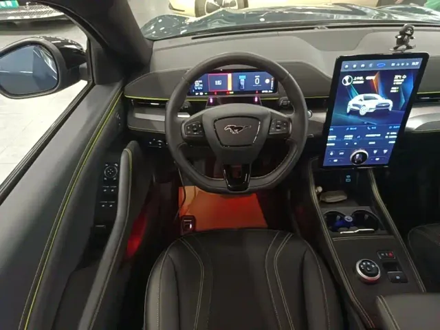 Ford Mustang Mach-E — Фото автомобиля 10