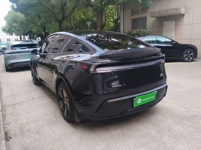 Tesla Model Y — Фото автомобиля 4