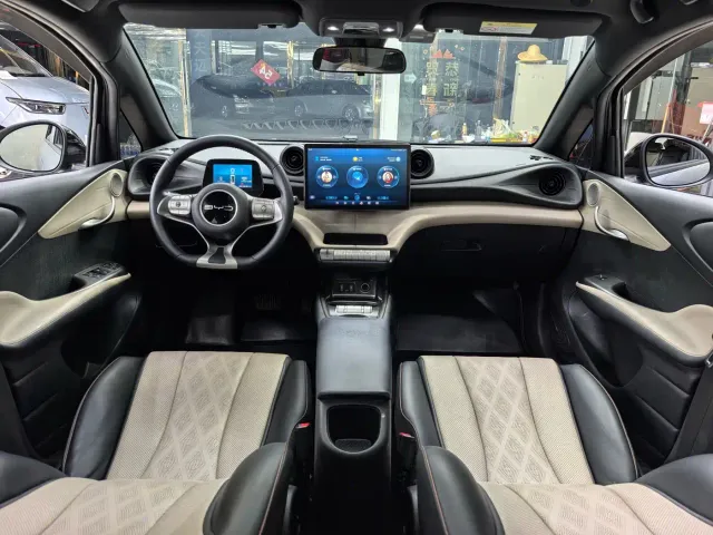 BYD Dolphin — Фото автомобиля 12