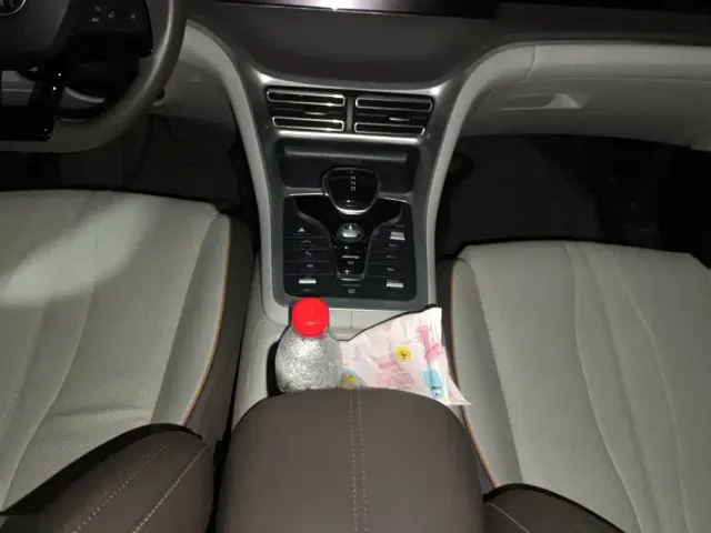 BYD Song Pro — Фото автомобиля 16