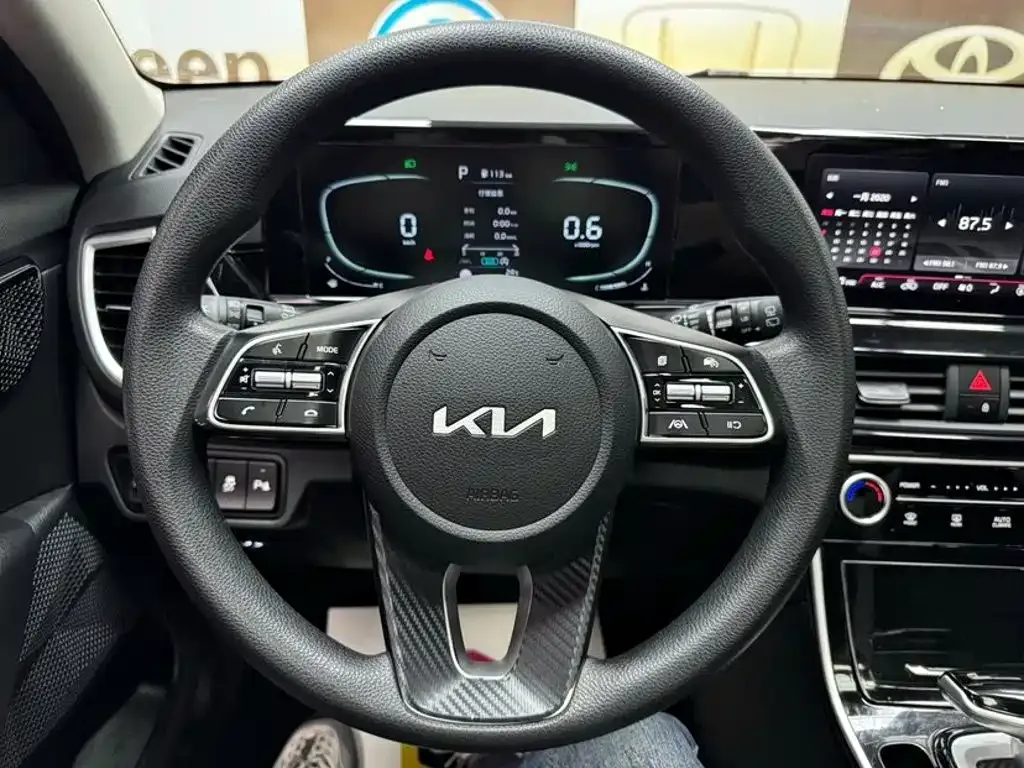 Kia Seltos 2023 1.5L CVT Luxury Edition — Фото автомобиля 11