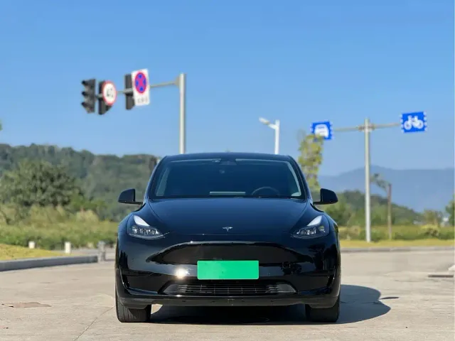 Tesla Model Y — Фото автомобиля 2