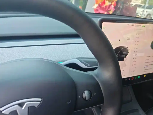 Tesla Model Y — Фото автомобиля 13