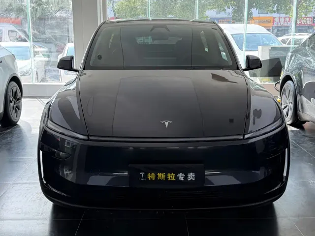 Tesla Model Y — Фото автомобиля 2