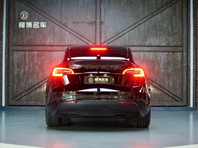 Tesla Model Y — Фото автомобиля 20