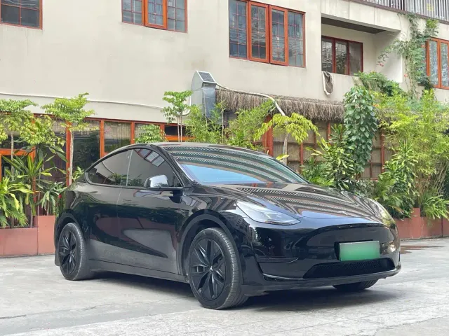 Tesla Model Y — Фото автомобиля 3