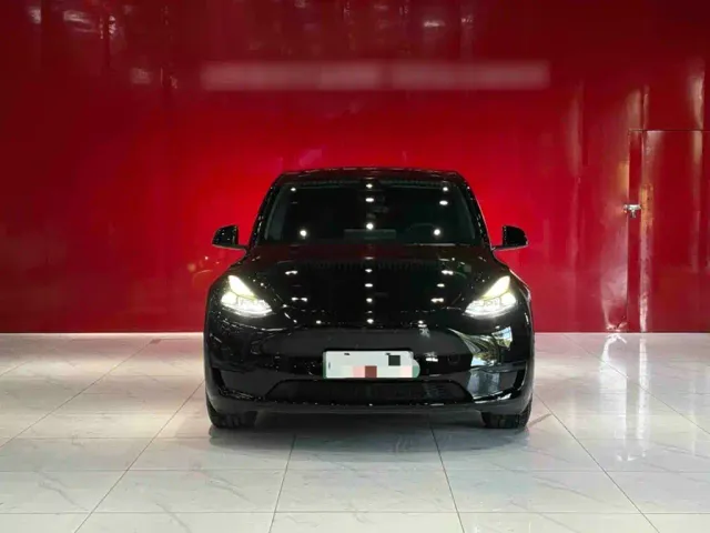Tesla Model Y — Фото автомобиля 6