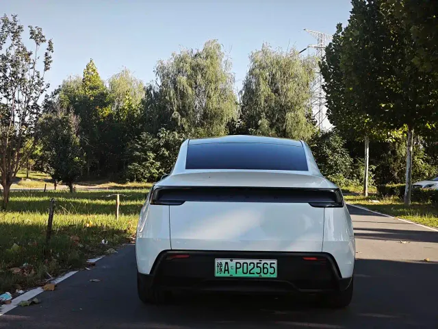 Tesla Model Y — Фото автомобиля 8