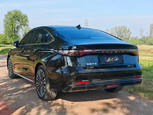 Chery Fulwin A8L — Фото автомобиля 17