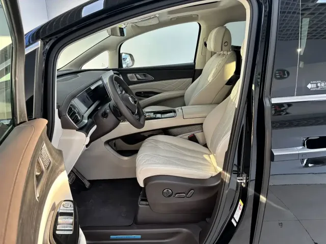 Denza D9 — Фото автомобиля 9