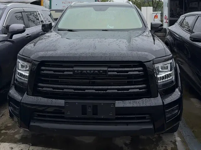 Haval Haval H5 2023 2.0T Automatic 4WD Leading Edition Diesel — Фото автомобиля 2
