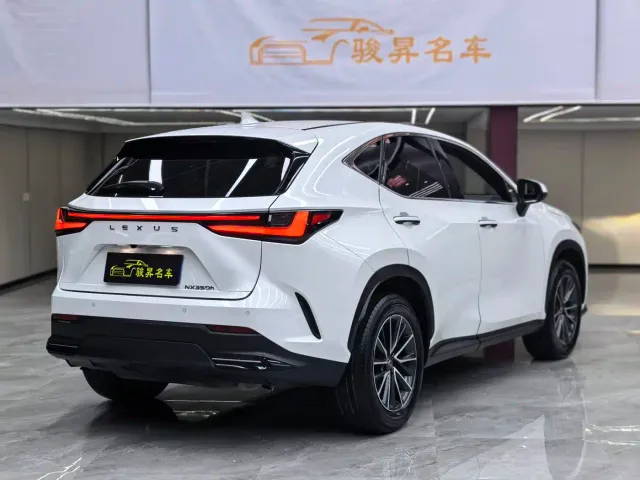 Lexus NX — Фото автомобиля 6