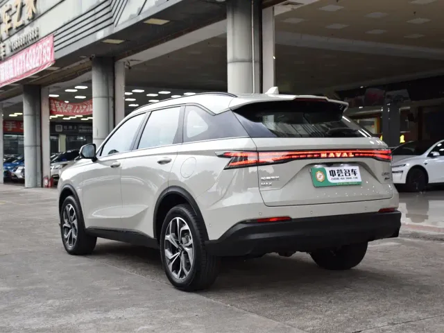 Haval Xiaolong MAX — Фото автомобиля 19