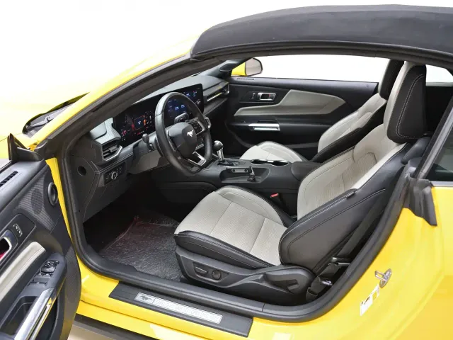 Ford Mustang — Фото автомобиля 15