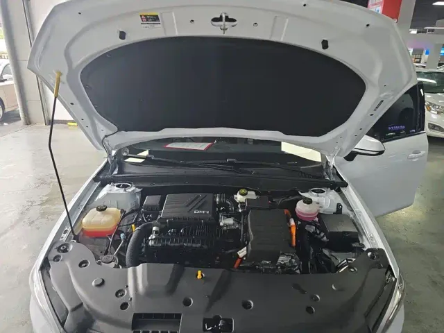 BYD Qin PLUS — Фото автомобиля 16