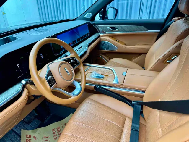 Wey Lanshan — Фото автомобиля 14