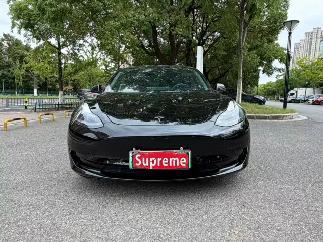 Tesla Model 3 — Фото автомобиля 2